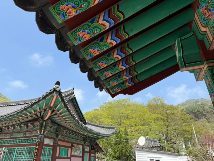  천안 광덕사 여행 후기｜천년 고찰과 자연이 어우러진 힐링 산책 코스
