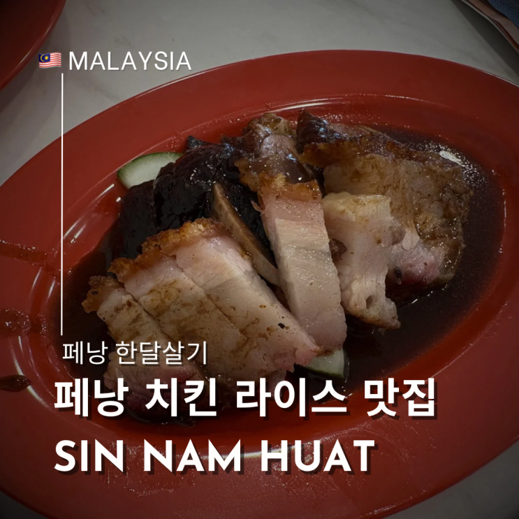  페낭 로스트 포크 치킨라이스 맛집 Sin Nam Huat