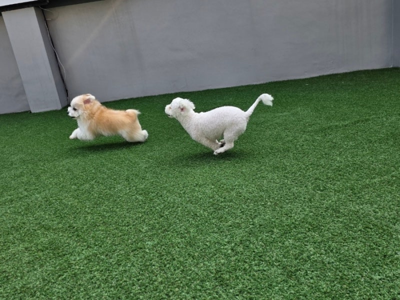 사진 2