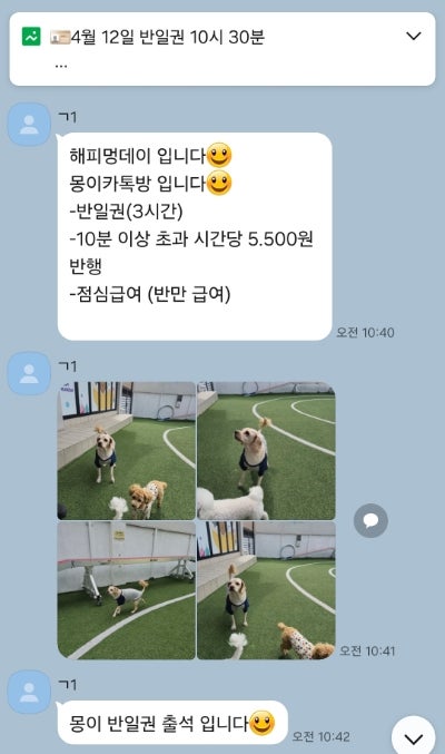사진 8