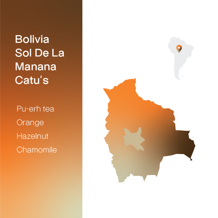  [생두 & 로스팅 리뷰] - 볼리비아 솔 데 라 마냐나 카투스 무산소 워시드 - Bolivia Sol De La Manana Catu's Anaerobic Washed