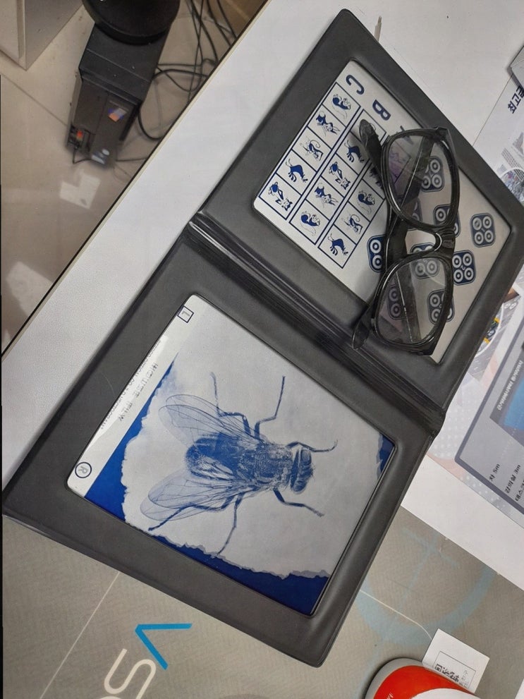 [K비젼안경 상안소방서점] 개인 맞춤형 누진다초점렌즈 그리고 울산북구안경