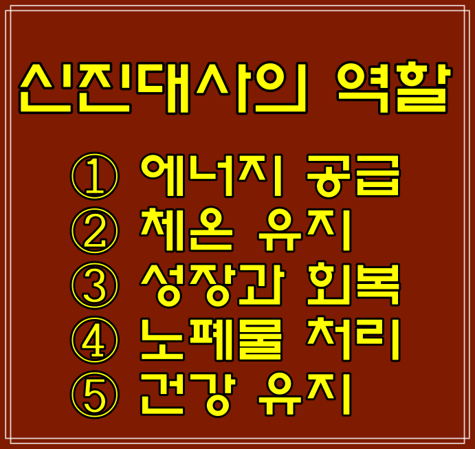  ATP·BMR·체성분 뜻, 이화·동화작용