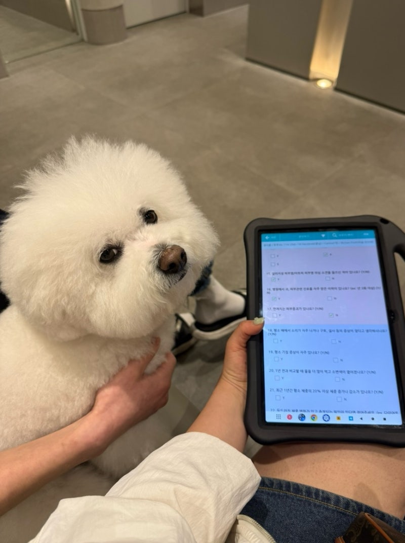 강아지건강검진 예은동물병원 강아지건강검진비용