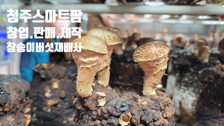  충북 청주 스마트팜창업, 새로운 농업의 미래를 여는 창업의 길