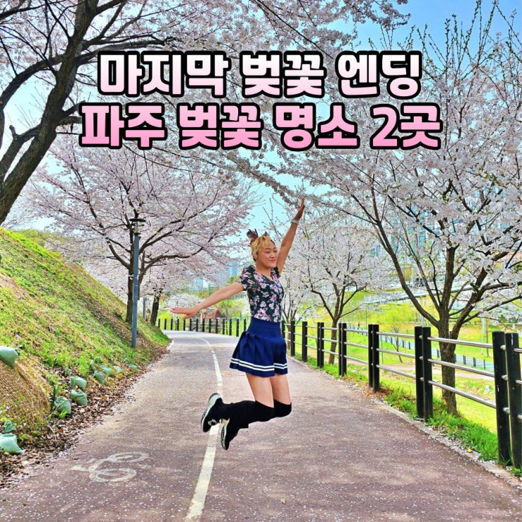  파주벚꽃명소 운정호수공원 영산수련원 벚꽃엔딩 튤립풍경 주차 후기