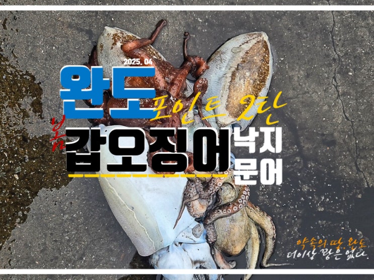  완도 갑오징어 낙지 문어 낚시 워킹 포인트 총정리 2탄