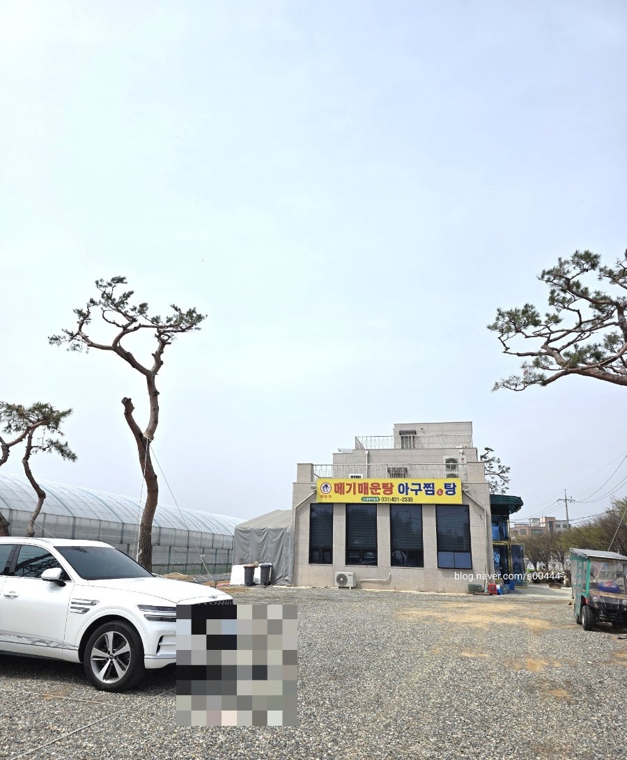 한탄강메기매운탕 사진 4