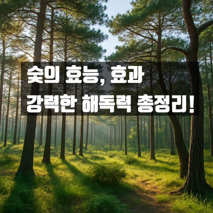  숯 효능 효과 - 소나무의 강력한 해독력 총정리