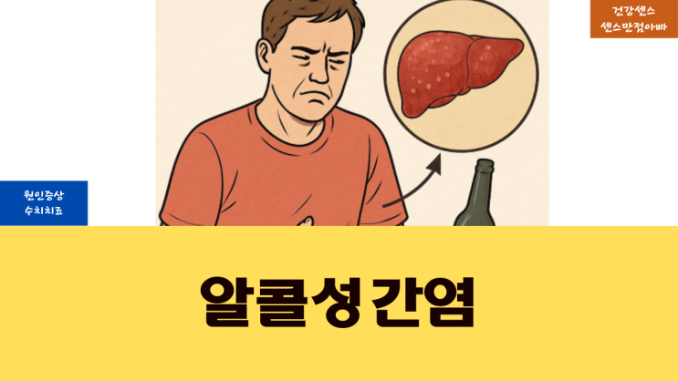  알콜성 간염 증상 원인 및 수치 치료