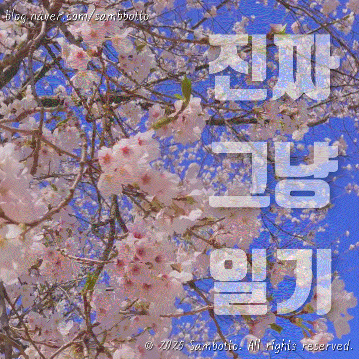 진짜 그냥 일기 | 벚꽃놀이 막차 타기-파주 밤고지마을, 목살로 매운 냄비갈비 만들기, 대존맛 과자 추천 : 기화병가 버터 에그롤 쿠키