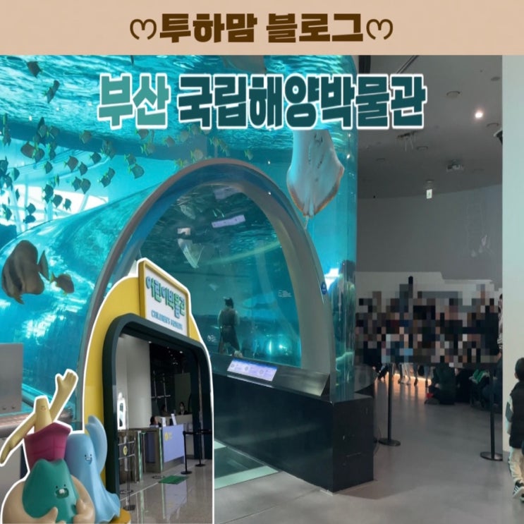  [부산 영도 아이와 가볼만한 곳 추천] 국립해양박물관 아쿠아리움 무료 공연까지 알차게! (어린이박물관)