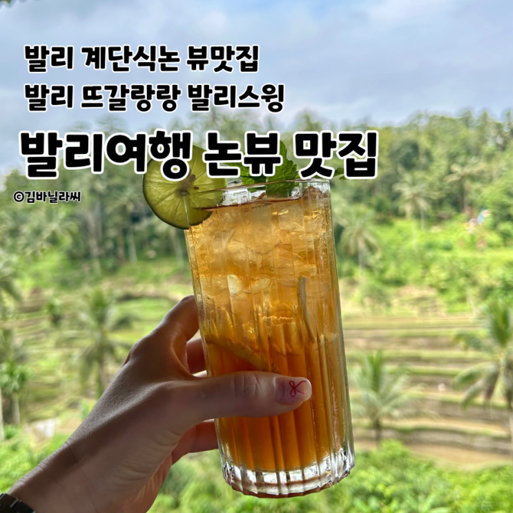  발리여행 와룽 테피 사와 뜨갈랄랑 계단식논 입장료없는 맛집 발리스윙 카페