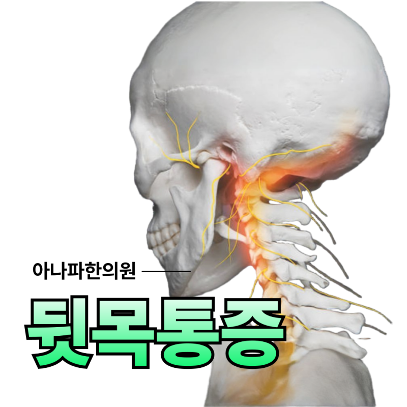 뒷목 뼈 통증 - 목 뒤 근육 통증 어지러움 원인은 이렇습니다