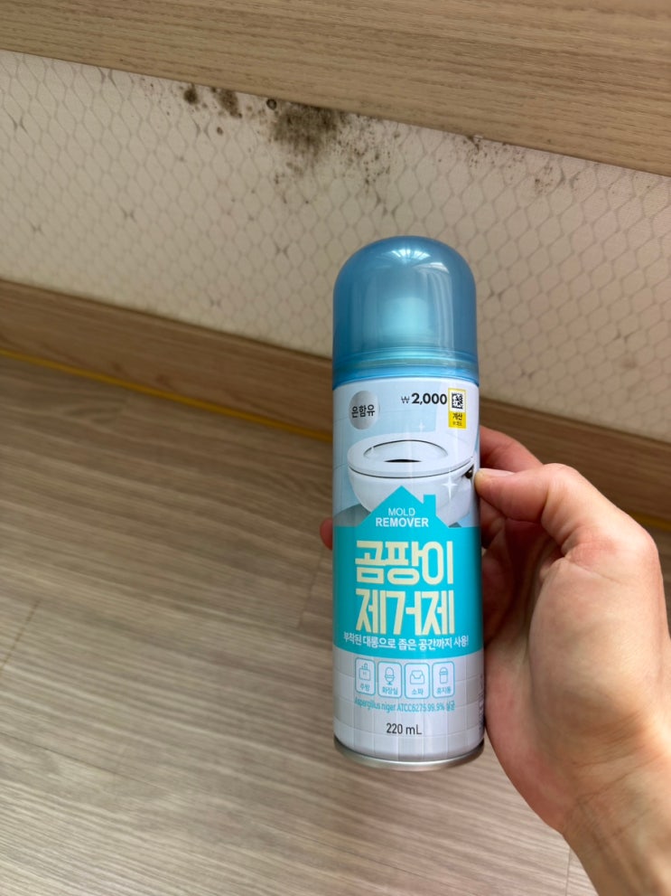  다이소 곰팡이 제거제와 매직블럭으로 벽지 곰팡이 셀프 제거
