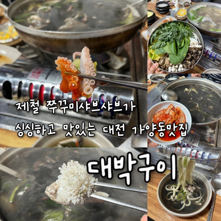  내돈내산 | 제철 쭈꾸미 샤브샤브가 싱싱하고 통통하게 알이 꽉찬 대전 가양동맛집 “대박구이”