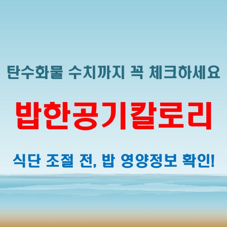  밥한공기칼로리와 탄수화물, 식단 조절할 때 참고할 수치