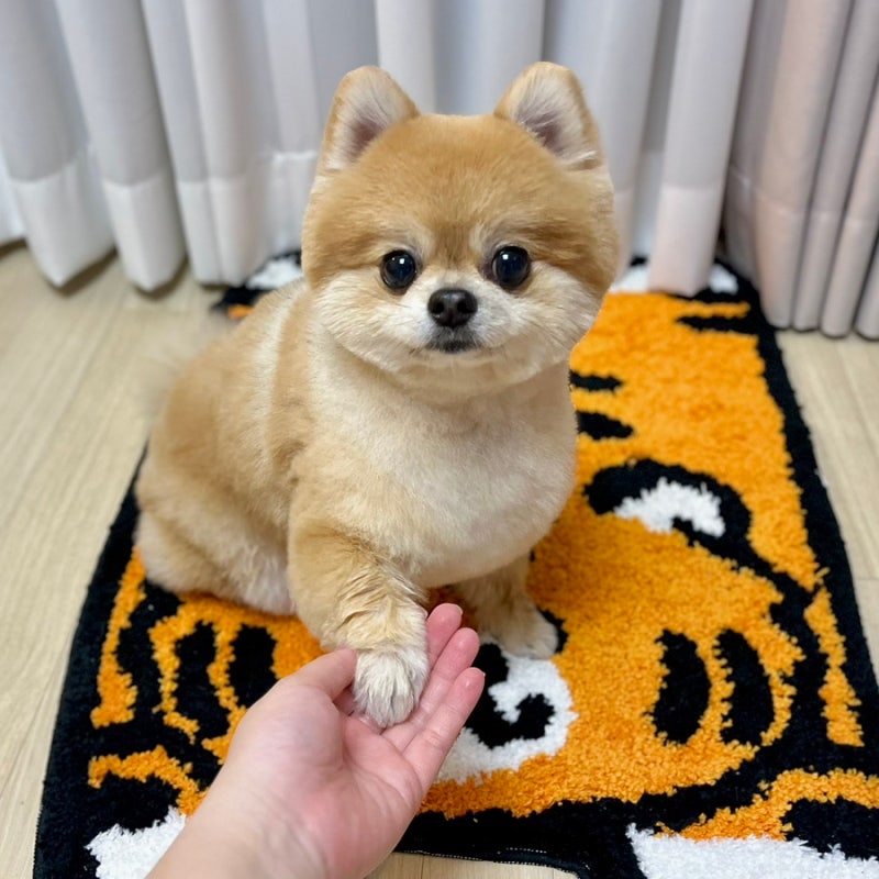 사진 4