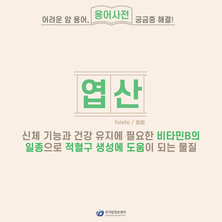  [암 용어사전] 엽산