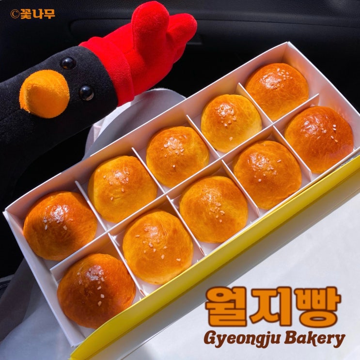  택배 안되고 안팔리면 폐기하는 진짜 소금빵 맛집 경주디저트 월지빵