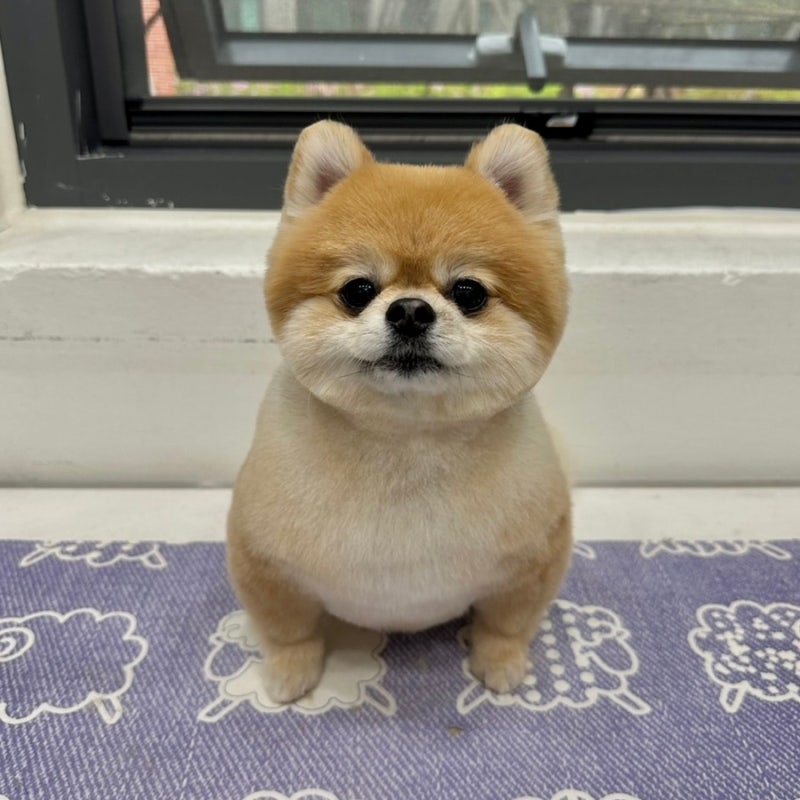 사진 3