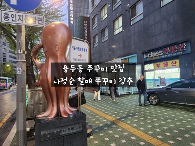  [신설동 맛집] 제기동역 호남식당 나정순할매쭈꾸미 - 인생 쭈꾸미 맛집 인정 추천