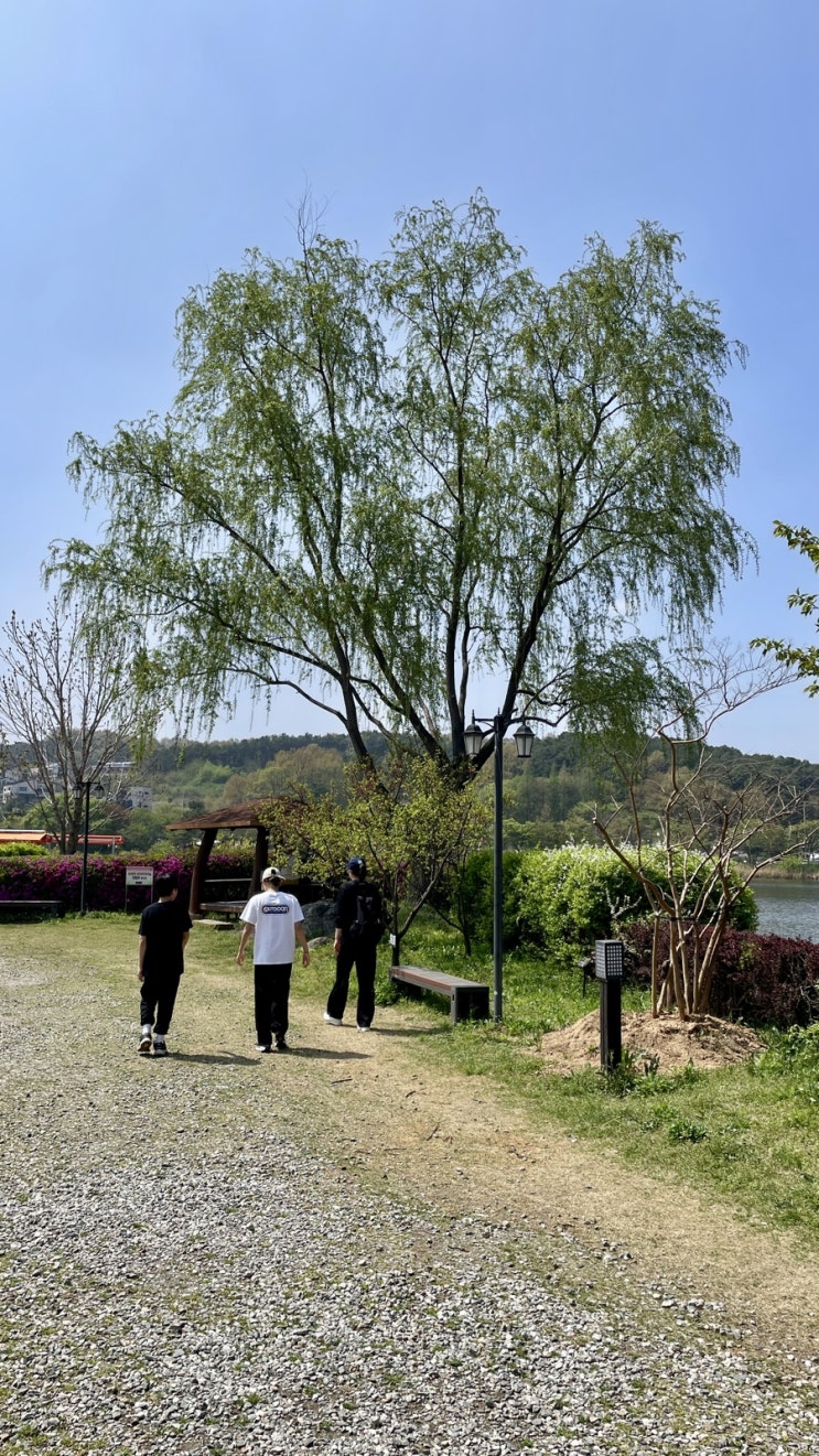 둥이1호 아빠와의 주말운동 아산 본가어죽에서 점심먹고 신정호 산책하기 / 슬쌍디아빠 이동섭
