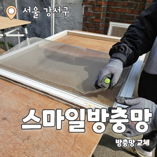  스마일방충망: 미세방충망 교체서비스 리뷰