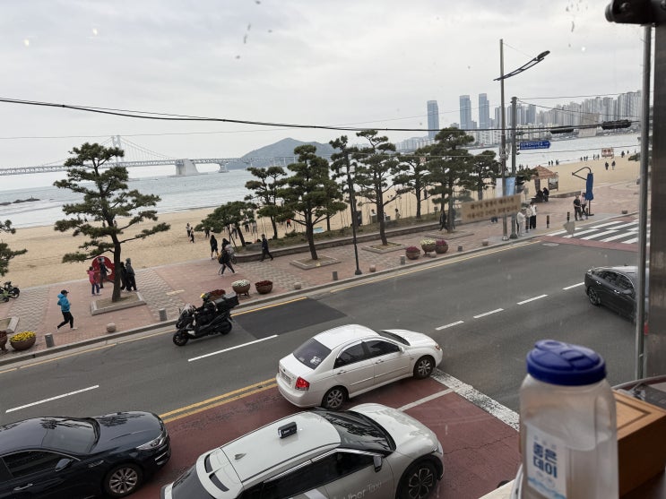  부산 광안리 지금조개 조개구이 내돈내산 후기!