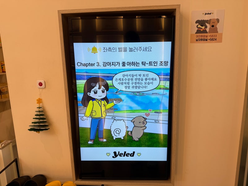 사진 3