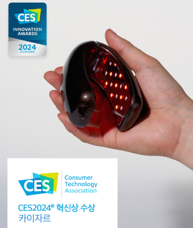  카이자르에 대한 의견 및 조사