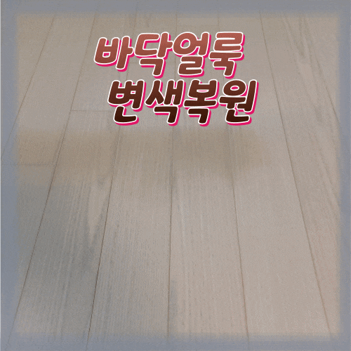  강아지오줌얼룩 변색바닥얼룩제거 완벽복원
