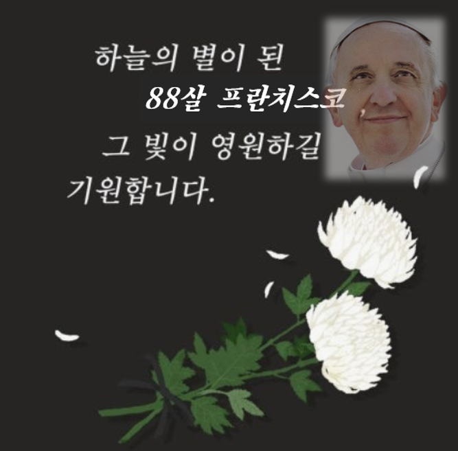 88세의 프란치스코 교황 하늘의 별이 되다!