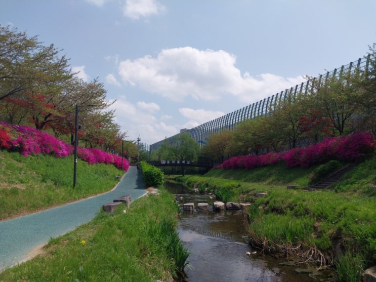  송파둘레길 장지천  4.21일