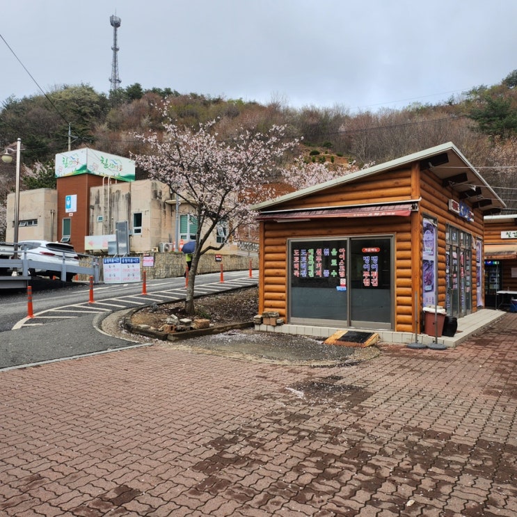  조용한 하루 청양 천장호출렁다리 산책