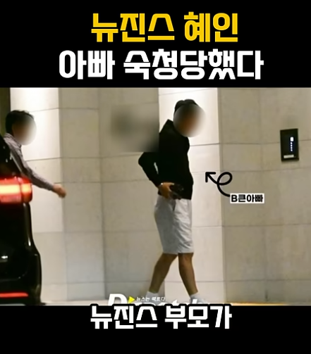 대기업 상무, 뉴진스 혜인아빠 친권 박탈당했다!