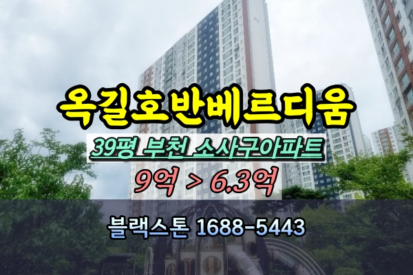  부천옥길호반베르디움 경매 39평 102동 [2024타경4037]