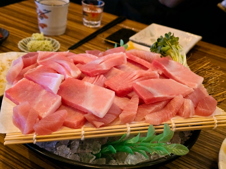  제주시 미보삿뽀로참치 제대로즐기는 연동참치맛집