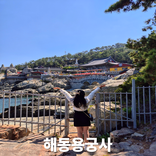  부산 여행코스 추천 기장 해동용궁사 뷰 실화냐
