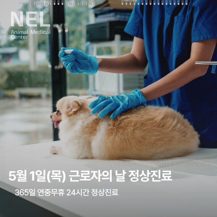  [안내] 5월 1일(목) 근로자의 날, 정상진료 안내
