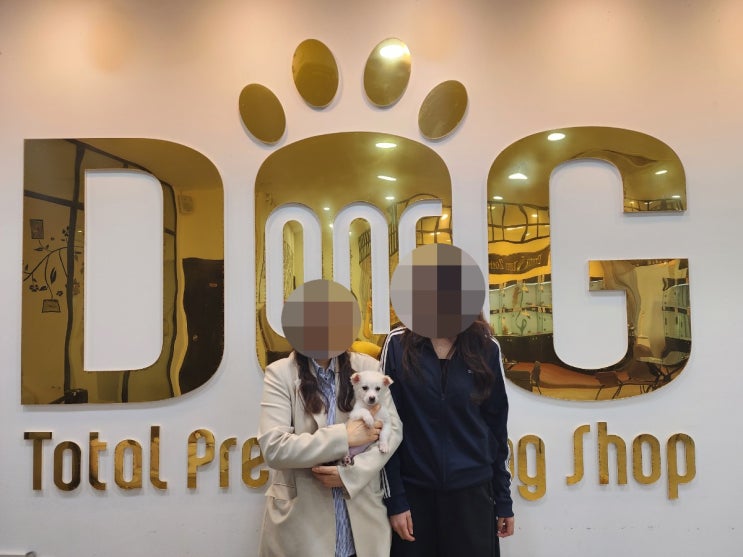 세종시 강아지분양 전문 원독 , 세종시 지정 유기동물 공공분양 시행업소