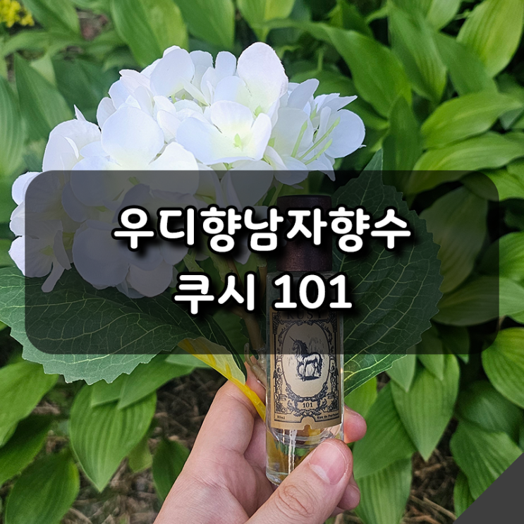  [남자향수추천] 쿠시 101 은은하고 세련된 우디향남자향수