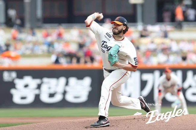 <b>한화</b>이글스 2위로 끌어올린 폰세 투지 –  <b>노시환</b>의 100호 <b>홈런</b>