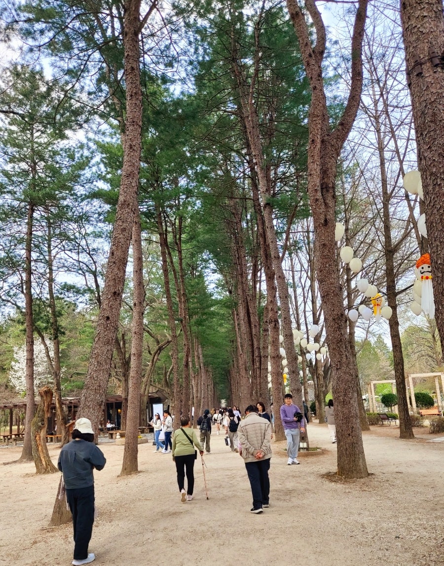 사당골 사진 6