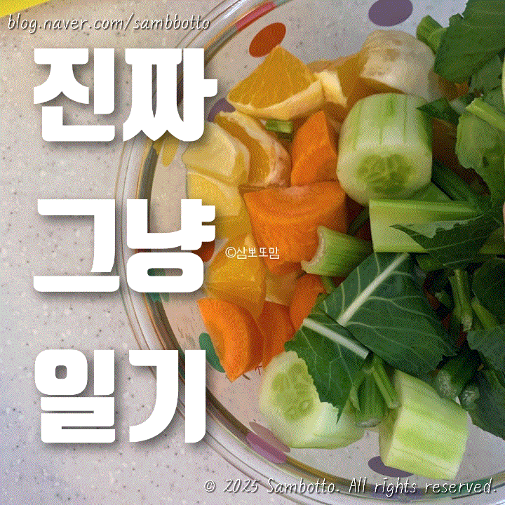 진짜 그냥 일기 | 월요일이라니..! 피곤한 월요일에는 역시 보족고? / 피엑스에서 구매한 비앤제이 아메리카노 캡슐(돌체구스토 호환) / 쇼파 뒤 납작 멀티탭 내돈내산 후기