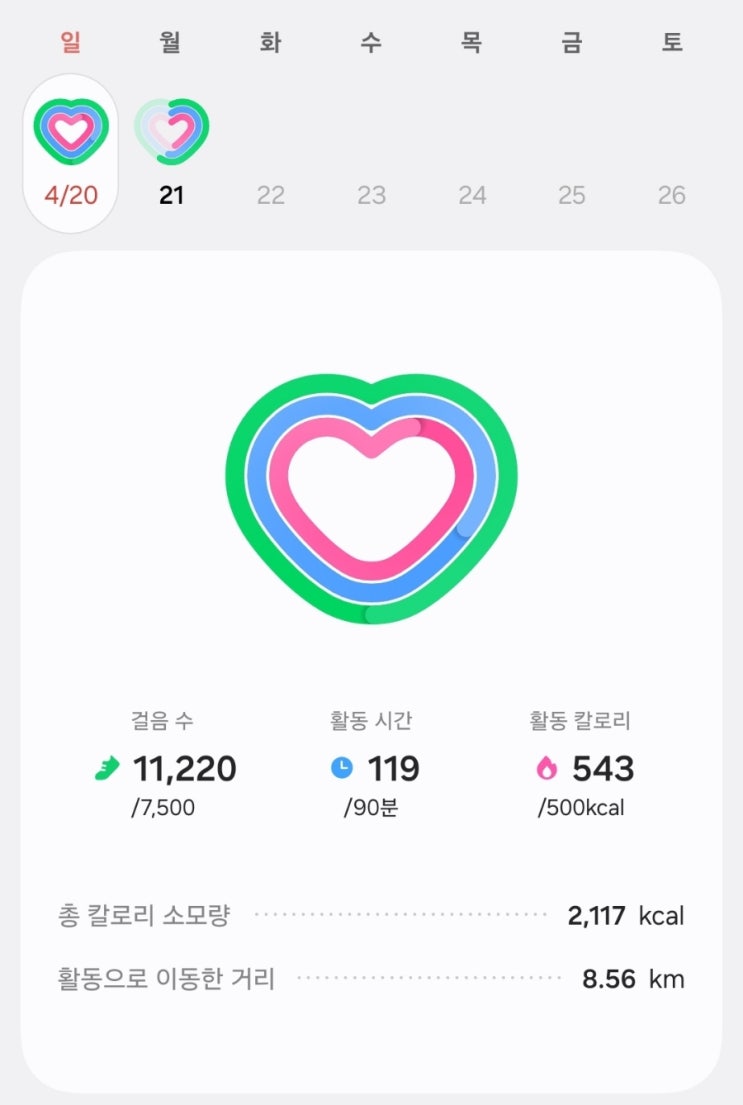  JY 트레이닝 753일차
