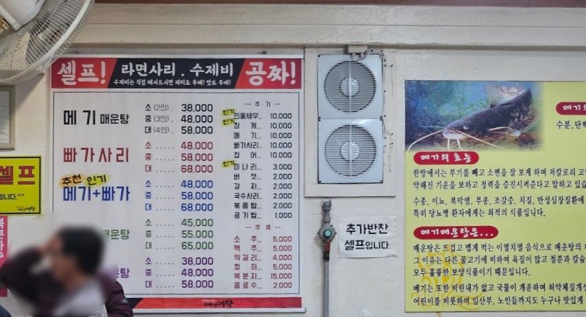 메기대왕 사진 4