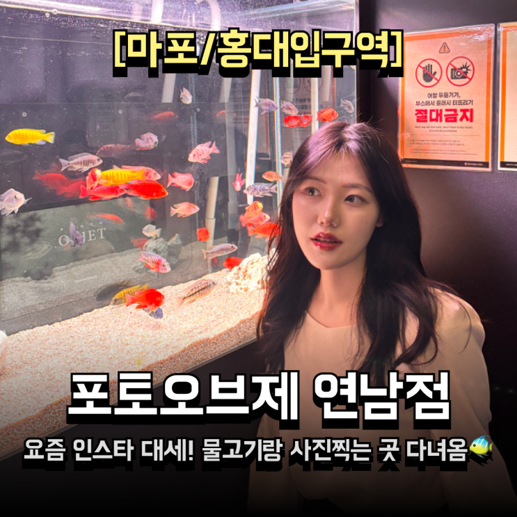  인스타 알고리즘 타고 간 연남동셀프사진관 포토오브제 연남점 솔직후기 (사진많음)