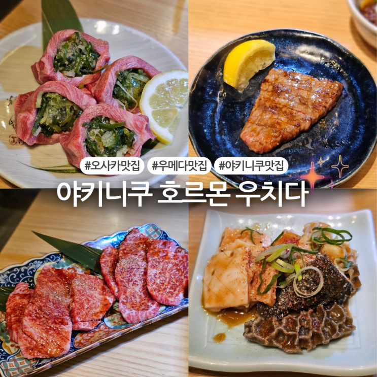  [오사카여행/ 맛집] 오사카 우메다 현지인맛집:: 야키니쿠 호르몬 우치다 오사카(구글예약가능)