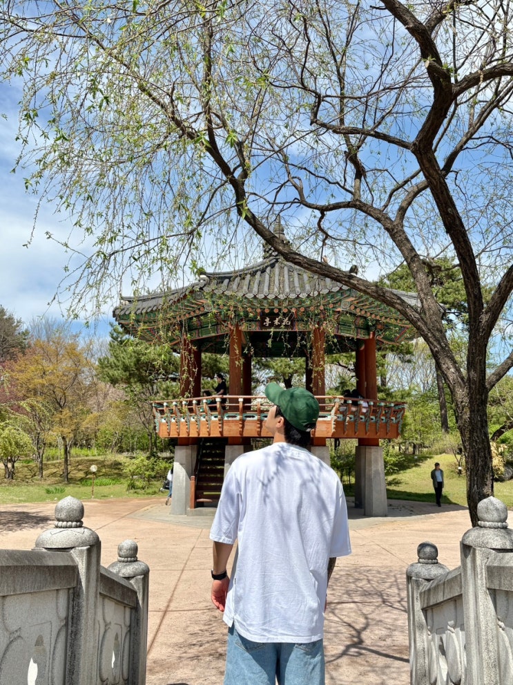  춘천 가볼만한곳, 봄나들이 피크닉 튤립 꽃구경 강원도립화목원